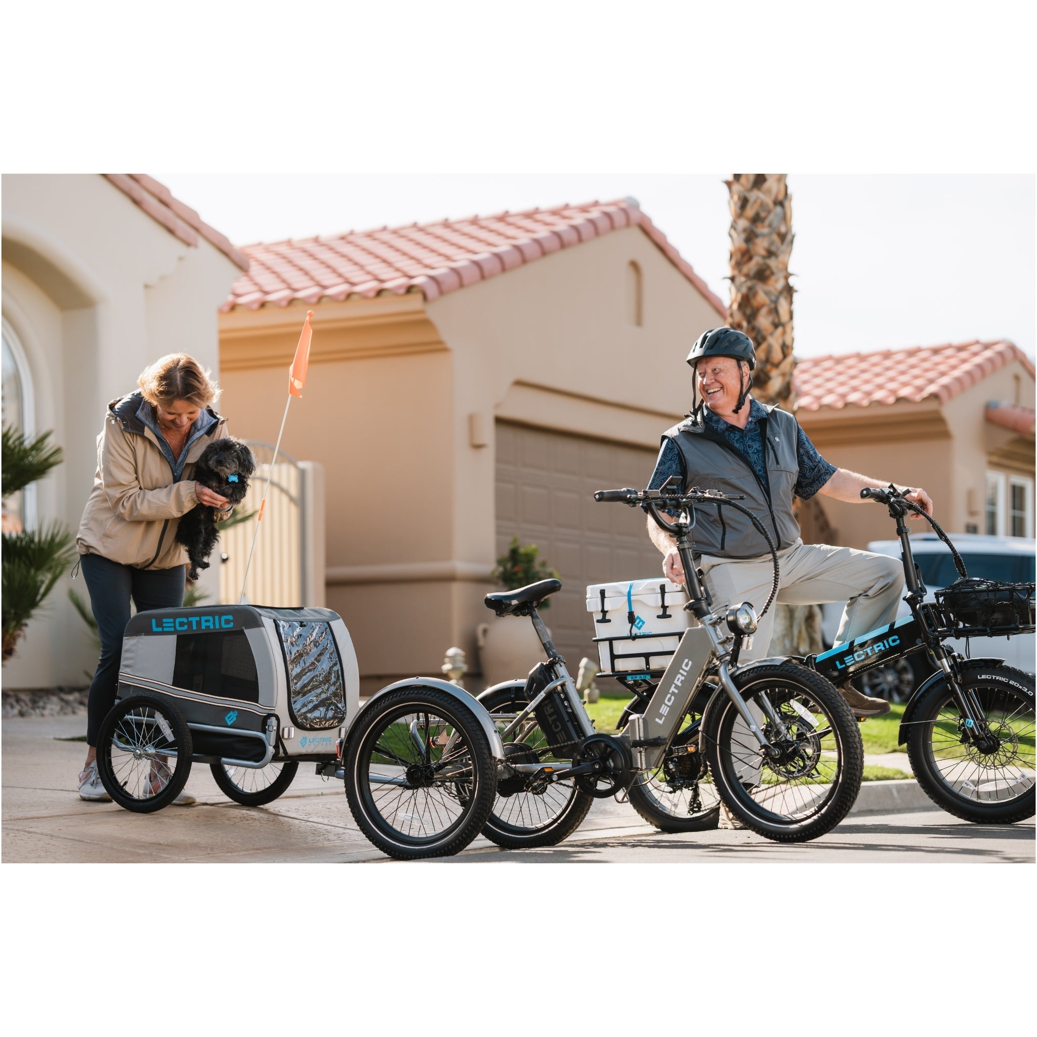 Lectric Trike XP 1